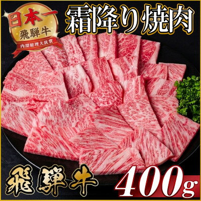 【ふるさと納税】【訳あり】飛騨牛 霜降り焼肉 約400g【配送不可地域：離島】【1733114】