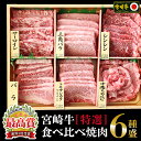 【ふるさと納税】宮崎牛＜特選＞食べ比べ焼肉6種盛(合計200g) 牛肉 精肉 肉 ブランド和牛 お取り寄せ 国産 宮崎県【SG019】【株式会社SHINGAKI】