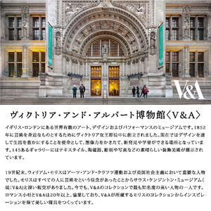 【老舗寝具メーカーロマンス小杉監修】羽毛の宝石「アイダーダウン」をさらに手選別した至高の羽毛肌掛けふとん(シングル) ブルー