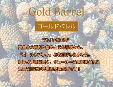 ＜先行予約＞ 農家直送！石垣島産 ゴールドバレル 2個セット 約3.5kg ＜2026年4月中旬発送＞ | パイナップル パイン 沖縄県 石垣市 石垣島 南国 フルーツ 果物 季節限定 YE-003