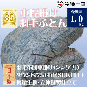 抗菌ダウン率85%1.0kg本厚掛け羽毛布団シングル(ブルー・グリーン系)訳あり【筑後七国羽毛ふとん】【1335397】