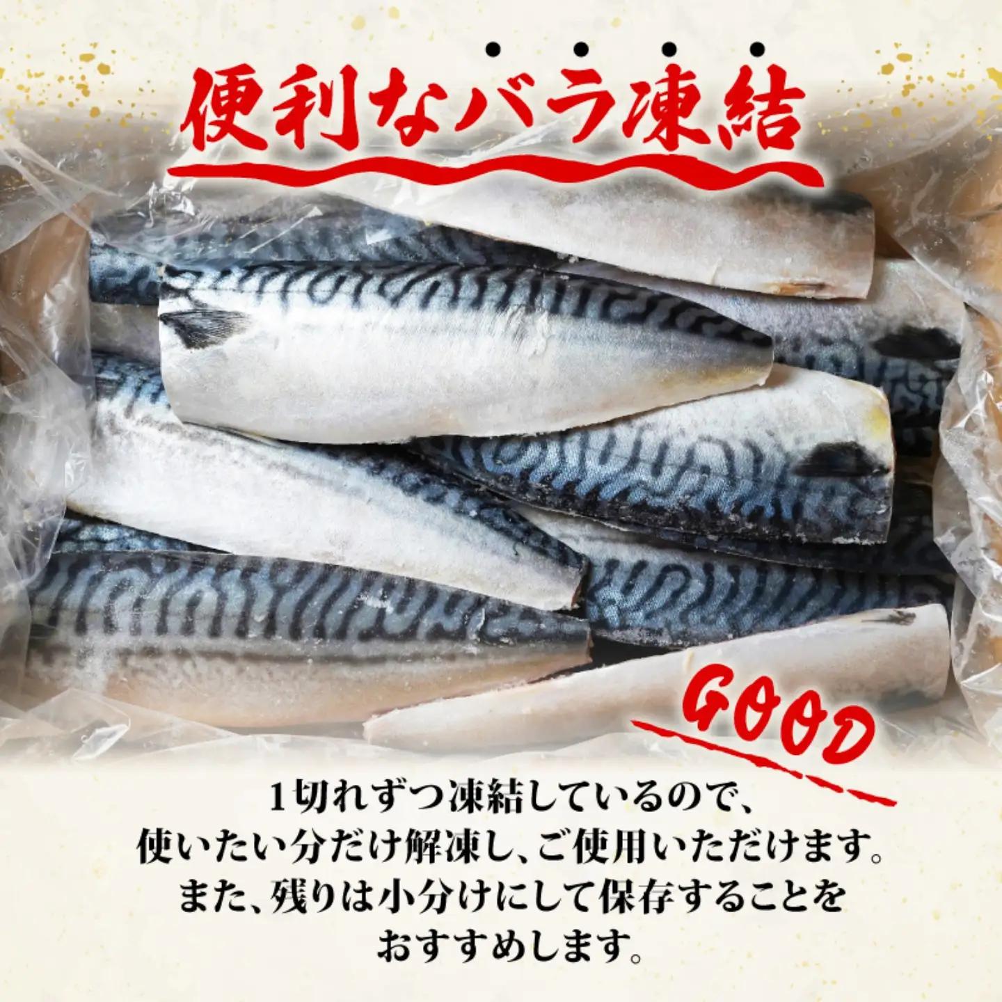 訳あり 塩鯖 2kg 鯖