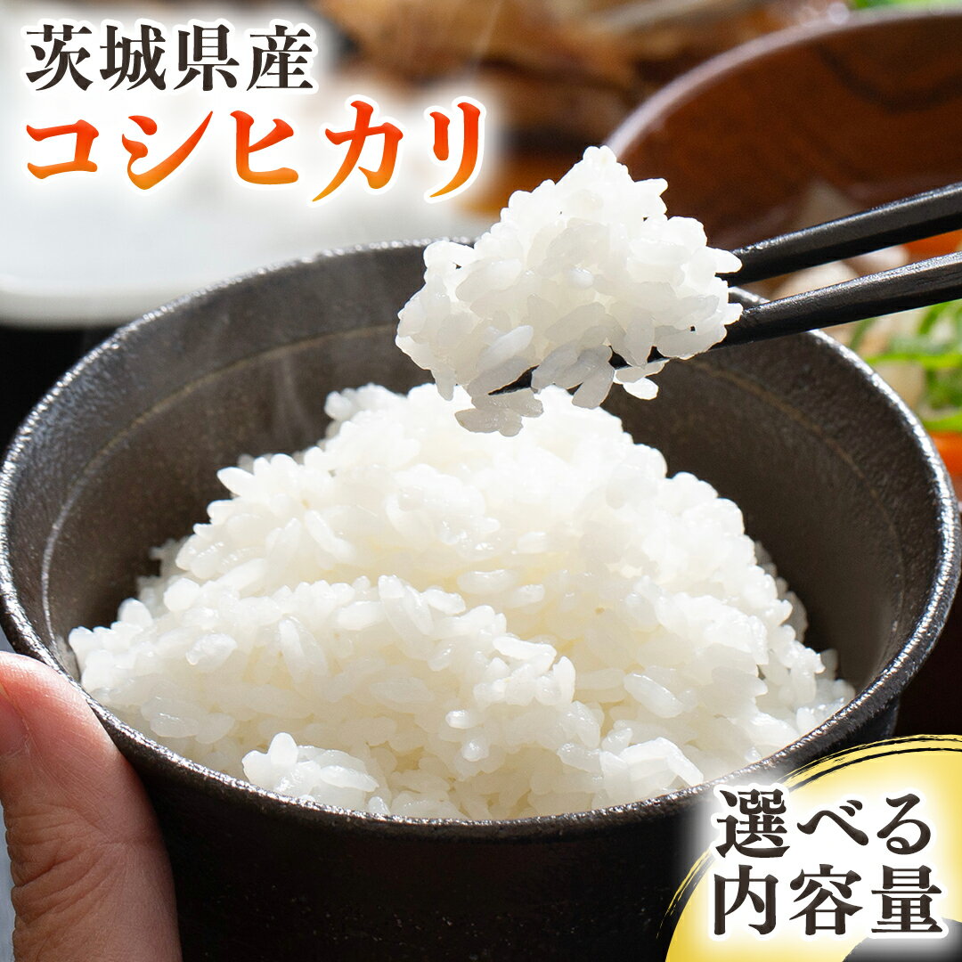 【ふるさと納税】茨城県産 コシヒカリ ( 選べる 内容量 ) 5kg 10kg 令和7年産 米 お米 コメ 白米 こしひかり 茨城県 新生活 応援