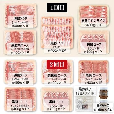 ふるさと納税 肝付町 <定期便・全6回(隔月)>極上セットF!　J02002 |  | 01