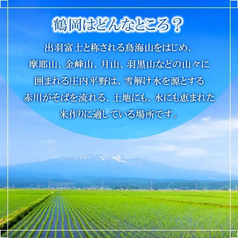 【令和8年産 新米】 特別栽培米雪若丸 精米 5kg (5kg×1袋) ×6ヶ月【定期便】 山形県鶴岡産　鶴岡協同ファーム