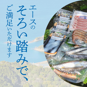 S059-011A_天草わくわくボックススタンダード  / 干物 豚肉 車エビ 海老 えび 刺身 刺し身