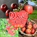 【ふるさと納税】 【8月末迄の申込み！】大文字りんご園 季節のりんごづくし定期便！（全4回）/ 樹上完熟 りんご リンゴ 林檎 紅いわて サン北斗 大夢 サンフジ 果物 くだもの フルーツ 甘い 旬 産地直送 予約 先行予約