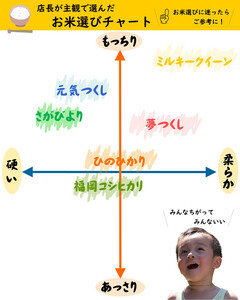 福岡県産 元気つくし 5kg (5kg×1袋) (令和7年産)
