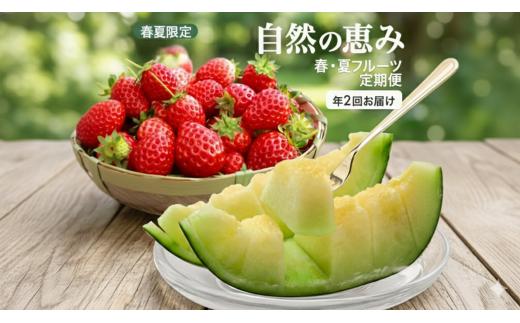 ≪2回定期便≫ 自然の恵み 春・夏フルーツ定期便2026 4月下旬～5月下旬 おとめ心 いちご 6月下旬～7月中旬 砂丘育ちの甘えんぼう 青肉メロン 計2回 山形県酒田産 着日指定不可 頒布会 苺 イ