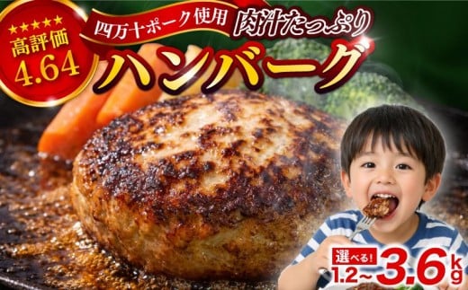 ハンバーグ 四万十ポーク 入り 3.6kg ( 200g × 18個 ) 冷凍 真空 小分け 個包装 肉汁 たっぷり 大容量 大きめ 合挽き 牛肉 豚肉 保存料 不使用 ビーフ ポーク 合いびき肉 挽肉 ジューシー お弁当 おかず 惣菜 晩ごはん 贅沢 ギフト 贈り物 贈答
