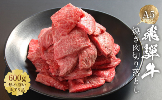 【形不揃い訳あり】A5等級飛騨牛 焼肉 切り落とし600g（冷凍配送）| 牛肉 肉 和牛 キャンプ 肉料理 ブランド牛 不揃い 人気 国産 お取り寄せ グルメ おすすめ 飛騨牛 ワケアリ牛肉 訳あり牛肉 焼肉 飛騨牛 牛肉 飛騨牛 牛肉 焼肉 飛騨牛 訳アリ牛肉 飛騨牛 牛肉 焼肉 飛騨牛 牛肉 飛騨牛 わけあり牛肉 焼肉 飛騨牛 牛肉 焼肉 飛騨牛 牛肉 飛騨牛 牛肉 焼肉 岩ト屋 HF045