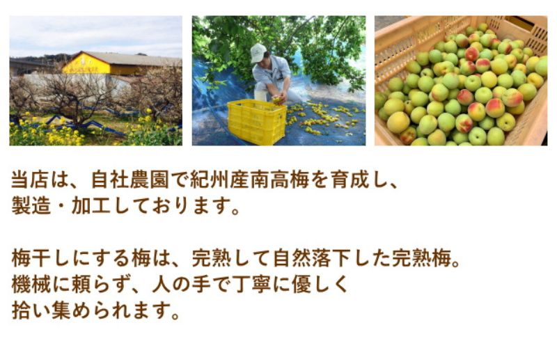 紀州南高梅 やわらか干し梅 梅短冊 はちみつ入り 176g（88g×2）個包装 / 和歌山 和歌山県産 田辺市 南高梅 干し梅 種なし はちみつ干し梅 柔らかい干し梅 個包装【nag005】