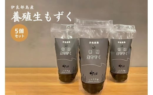 養殖もずく　5個セット（FU002）沖縄 宮古島 ふるさと納税 おすすめ 人気 もずく モズク 海藻 ミネラル 海 食