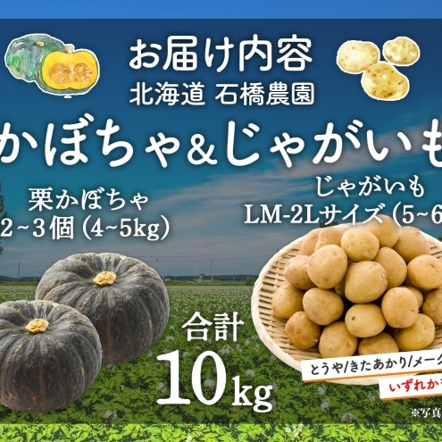 北海道 かぼちゃ じゃがいも セット 合計10kg 先行受付 ジャガイモ 馬鈴薯 ポテト 芋 イモ カボチャ パンプキン 緑黄色野菜 甘い ほくほく 農作物_イメージ4