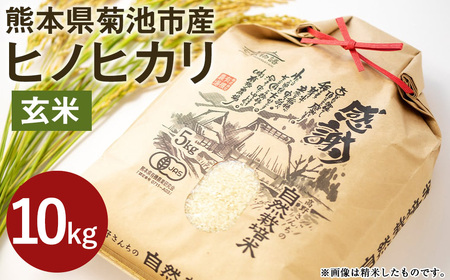 【通常パック】令和7年産 熊本県菊池産 ヒノヒカリ 玄米 10kg 七城物語 高野さんちの自然栽培米 《30日以内に出荷予定(土日祝除く)》