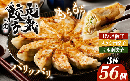 元気餃子のこだわり餃子3種セット（56個入り/冷凍生餃子） 食べ比べ ギョーザ専門店 中華総菜 点心 もちもち パリパリ No.010