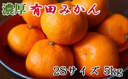 [秀品]和歌山有田みかん約5kg(2Sサイズ) ★2024年11月中旬頃より順次発送【TM83】