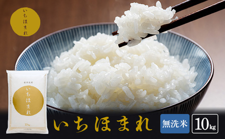 いちほまれ 無洗米 10kg 高級ブランド米 いちほまれ