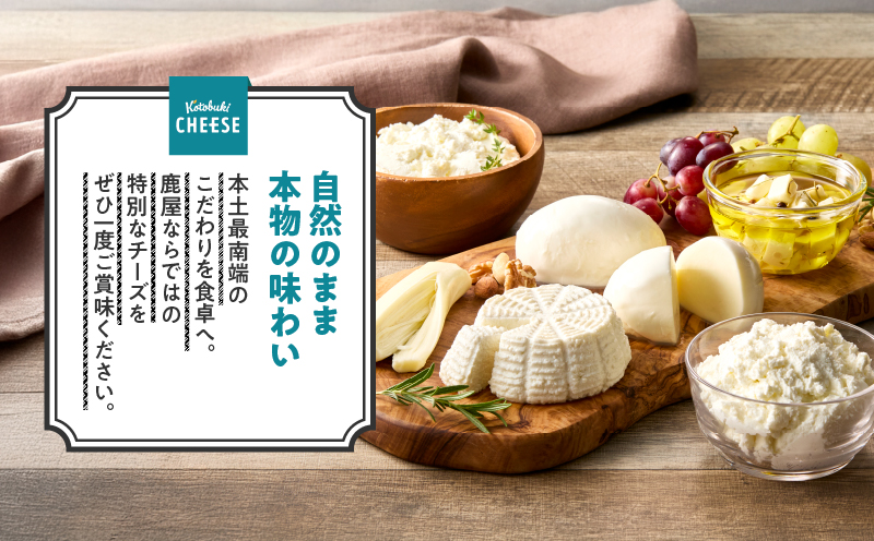 901-1 ナチュラルチーズセット　KN087-001