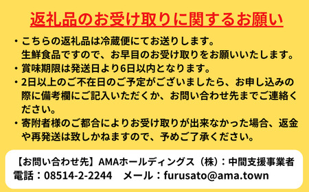 先行予約受付：【2026年 3月以降順次お届け】【生のいわがき春香 Sサイズ6個】 岩牡蠣 生牡蠣 牡蠣 いわがき春香 生食可 旬の時期だけ