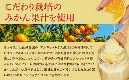 みかんバター 2本入（無添加）アルギットみかん果汁使用 山崎農園 有田川町
