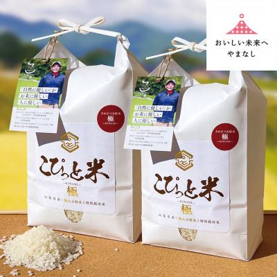 ふるさと納税 山梨県 きわだつ大粒!【令和7年産】こぴっと米【極】白米・4kg　特別栽培米