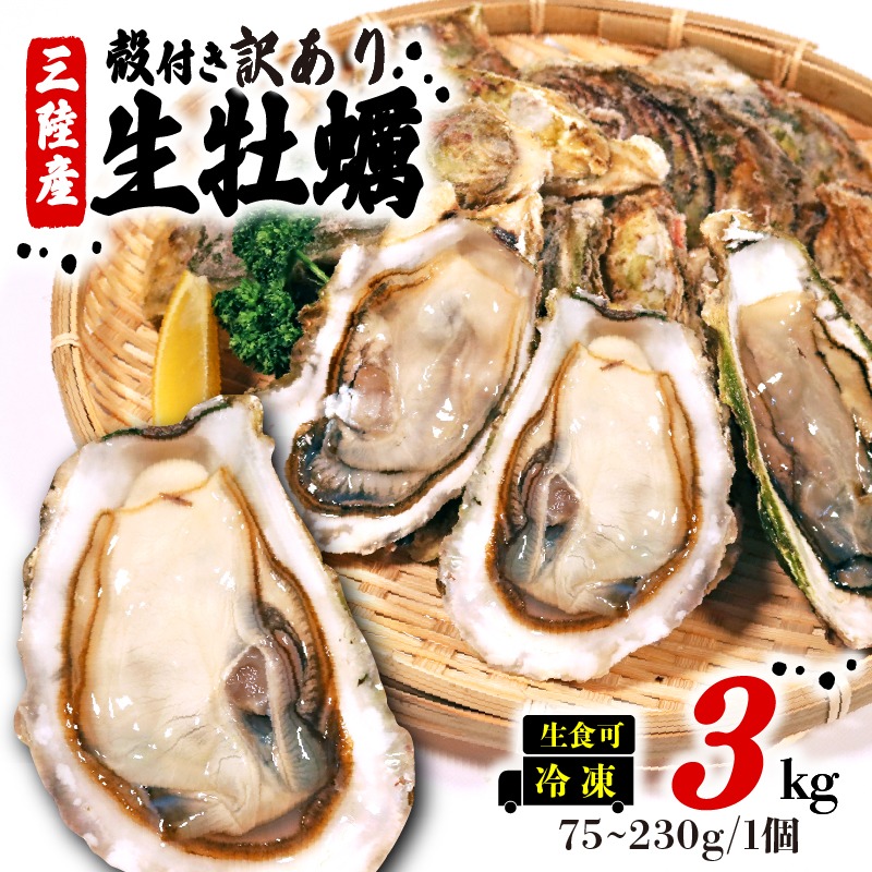 【先行予約】訳あり 牡蠣 3kg (生食可) 6月より順次発送 かき カキ 冷凍 岩手県産 殻付き 生食 生食用 訳あり わけあり 大きさ不揃い 不揃い 三陸 三陸産 株式会社國洋 岩手県 大船渡市 