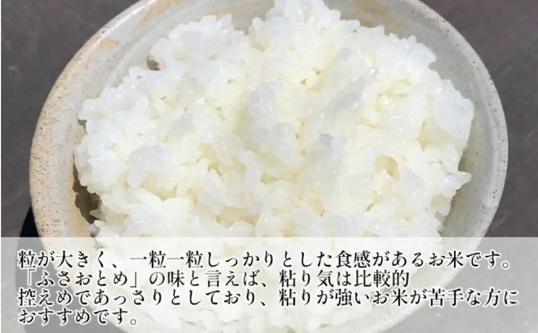 のり　ふさおとめセットA　　【ふさおとめ 2kg無洗米 ・焼のり、味のり】　お米 米 こめ コメ 海苔 セット コラボ商品 千葉県 千葉市