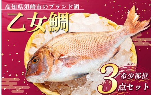 【 スピード配送 】 ブランド 真鯛 希少部位 カマ 頭 フィーレ 3点セット 乙女鯛 冷凍 本場 産地直送 たい 刺身 さしみ 刺し身 お手軽 簡単 おかず 便利 鯛 真鯛 魚介類 高知県 須崎市 