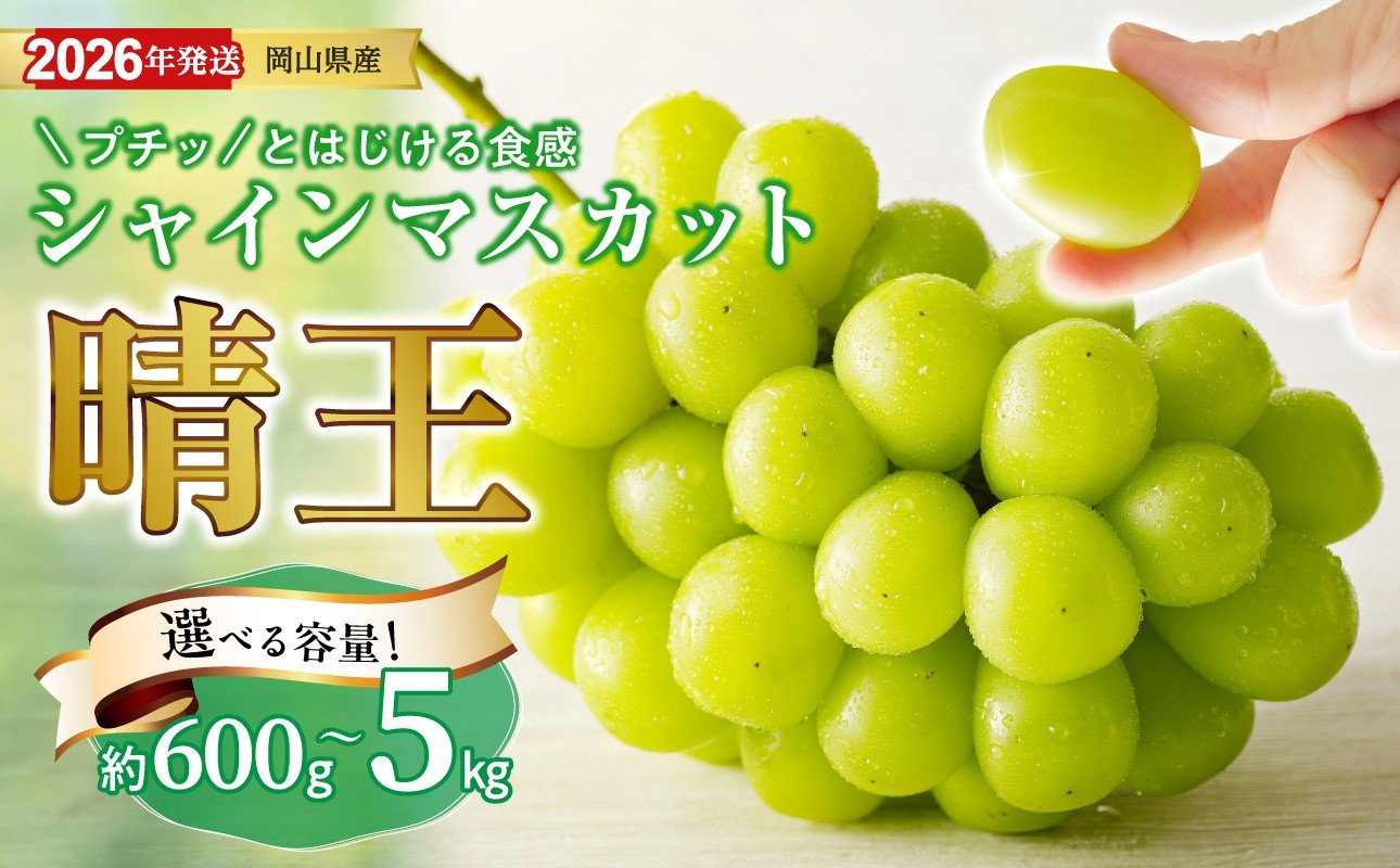 
                  【2026年発送分 先行受付スタート！】シャインマスカット「晴王」秀品 600g 1kg 1.5kg 2kg 5kg（令和8年8月中旬以降発送）【 選べる内容量 シャインマスカット 晴王 フルーツ 果物 葡萄 ぶどう 岡山県産 秀品 種無し 高糖度 hzS-M 】
                