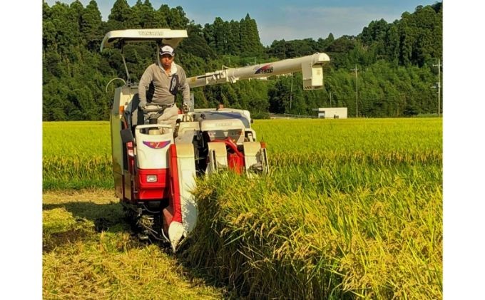 みなよし米【市原産コシヒカリ・玄米】20Kg