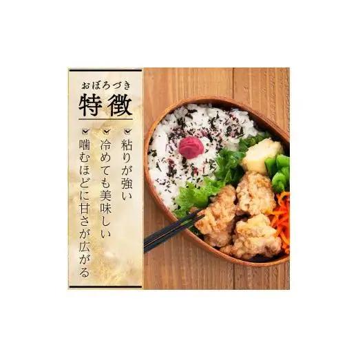 令和7年産北海道岩見沢市産　おぼろづき10kg ≪沖縄・離島配送不可≫【35028】
