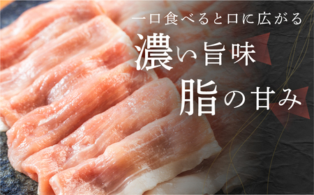 訳あり 国産 豚肉 食べ比べ スライス 切り落とし 2kg 豚小間 しゃぶしゃぶ ロース すきやき バラ 冷凍 瓜生豚 小分け 簡易包装 訳あり ぶた スライス 薄切り 豚しゃぶ 贈り物 ギフト お取