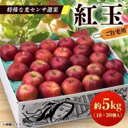 【ご自宅用　紅玉　令和8年9月下旬～発送】約5k(18～30個入)黒昇会DB箱入　特殊な光センサ選果_りんご 紅玉 林檎 リンゴ 青森県 光センサー 果物 くだもの フルーツ デザート 調理用 お菓子作り_【配送不可地域：離島】【1328602】