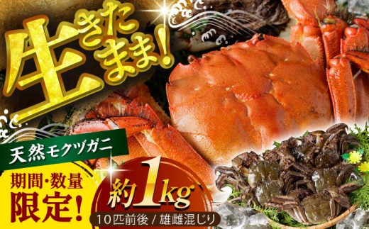 【期間・数量限定】浦戸湾育ちの天然ツガニ（モクヅガニ）【土佐の廣丸】