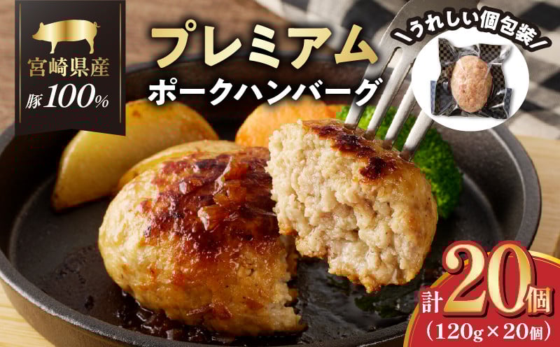 
            宮崎県産豚プレミアムハンバーグ(計20個) 肉 豚肉 加工品 惣菜 国産_T001-0121
          