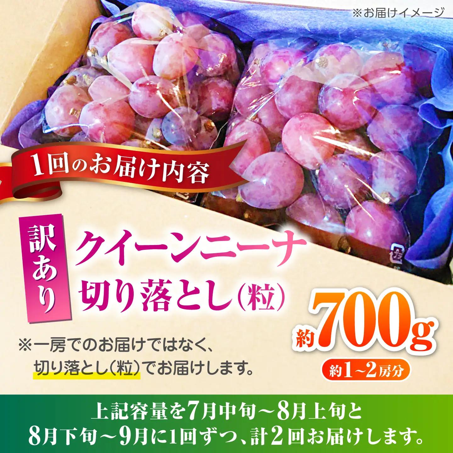 【2027年発送先行予約】【2回定期便】　訳あり クイーンニーナ ぶどう 切り落とし 約700g  【合同会社 社方園】[ZBZ044]