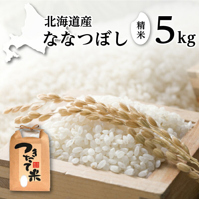 【ふるさと納税】北海道産 ななつぼし 5kg［令和6年産］【 精米 米 白米 ご飯 お米 ごはん 国産 ブランド米 おにぎり ふっくら 常温 送料無料 】　お届け：2025年9月末まで
