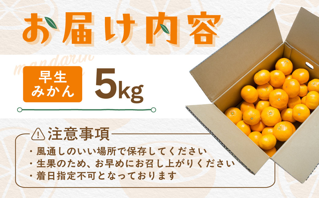 【先行受付】【数量限定】早生みかん（生果）5kg（2026年11月上旬より順次発送） IKTQ005