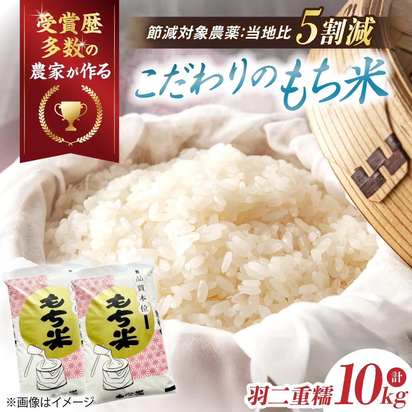 もち米【特別栽培米】羽二重糯（はぶたえもち）5kg×2[AQCQ011] もち米