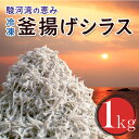 【ふるさと納税】 訳あり 釜揚げしらす 1kg たっぷり 冷凍 小分け パック 500g 2パック 駿河湾