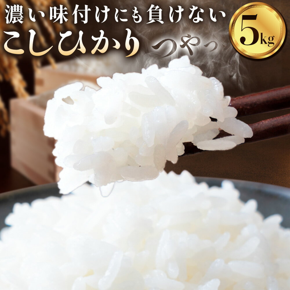 【ふるさと納税】令和7年産 こしひかり コシヒカリ 5kg 5kg×1袋 白米 まちづくり河内株式会社かわち夢楽《30日以内に出荷予定(土日祝除く)》茨城県 河内町 米 こめ お米 ご飯