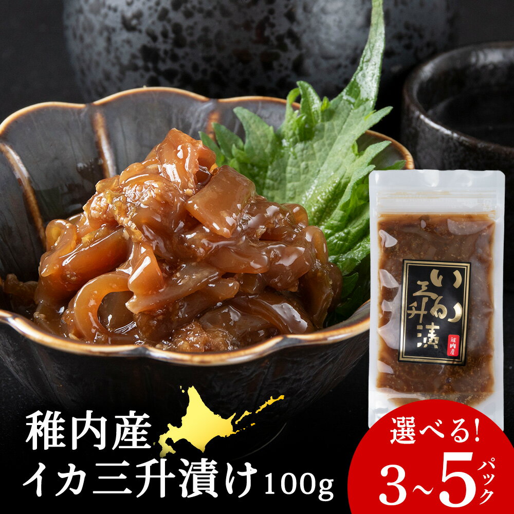【ふるさと納税】稚内産 いか三升漬け 選べる300g～500g 1個100gイカ 烏賊 肴 珍味 加工品 冷凍 海鮮 海産物 北海道ふるさと納税 稚内 【配送不可地域：離島・沖縄県】