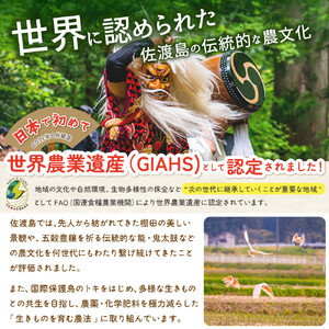 佐渡島産コシヒカリ お達者棚田米 白米4Kg（2Kg×2袋）【令和7年産】