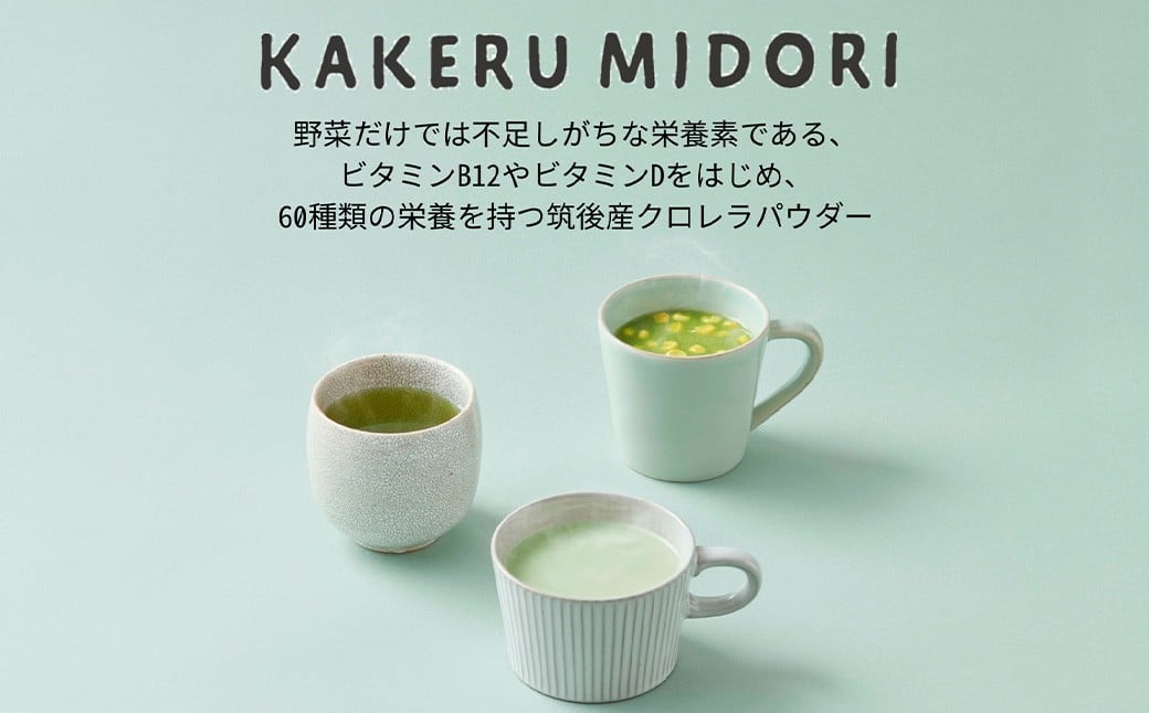 【6回定期便】KAKERU MIDORI 20包×2袋