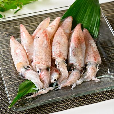 ふるさと納税 八幡浜市 竹中水産のバラスルメ(白イカの小小サイズ)1.5kg【C22-271】 |  | 02