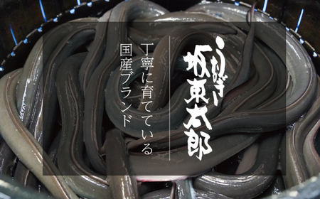 国産きざみ鰻 ひつまぶし 5パック 合計約250g (約50g×5) うなぎ 鰻 忠平