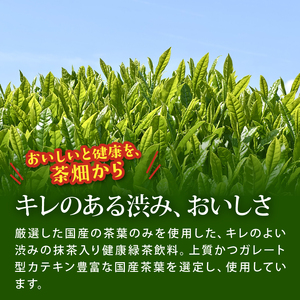 【定期便6か月】お~いお茶濃い茶PET1L×12本 伊藤園