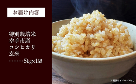 【令和7年産】無農薬・無化学肥料栽培 埼玉県幸手市産特別栽培コシヒカリ 「幸ヒカリ」玄米5kg -  米 特別栽培米 幸手市産