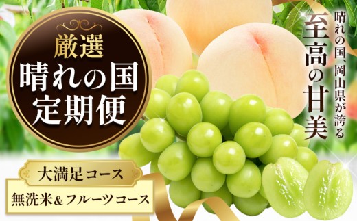 晴れの国からお届け! 晴れの国 定期便 大満足コース 無洗米＆フルーツコース シャインマスカット 桃 米 フルーツ ふるさと納税 定期便 米 無洗米 20kg フルーツ 定期